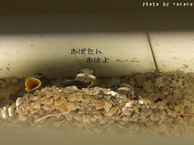 a0013423_844971.jpg