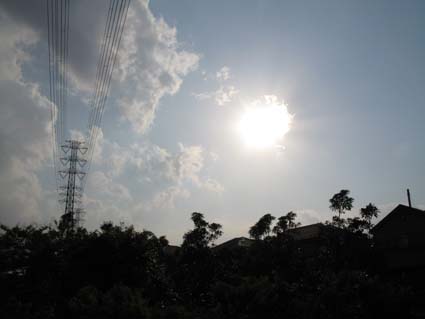 d0109728_1156351.jpg
