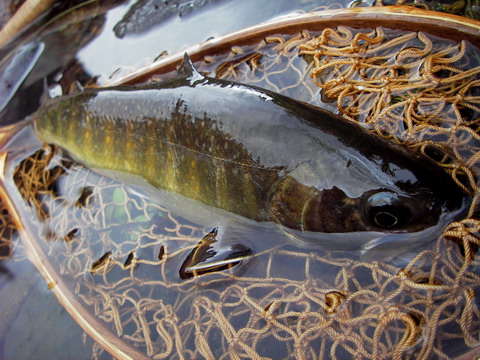 c0090530_23335845.jpg