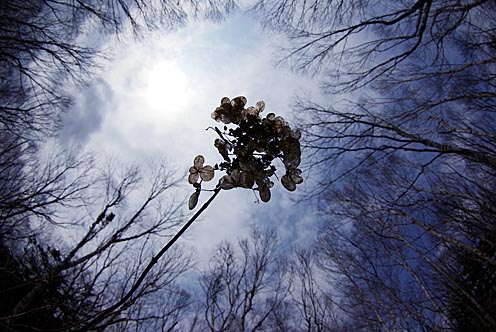 e0025030_1712864.jpg