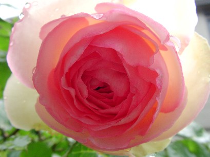 f0002833_1831440.jpg
