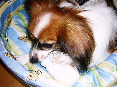 e0100046_2141276.jpg