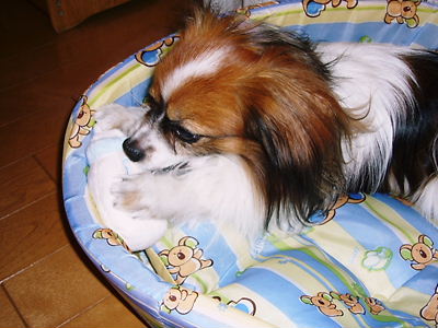 e0100046_21412979.jpg