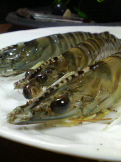 f0088647_23144739.jpg