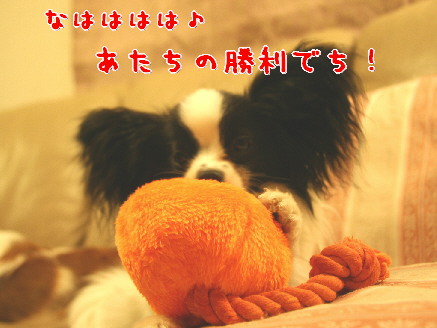 d0013149_0402340.jpg