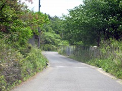 d0031853_2328562.jpg
