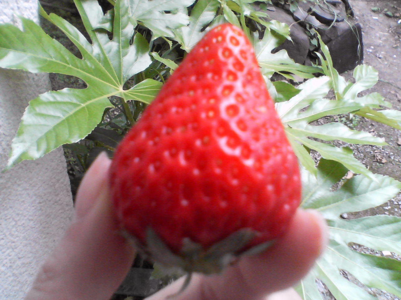 c0121954_2134860.jpg