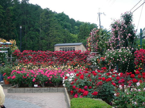 e0083155_124118100.jpg