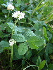 f0043559_20405747.jpg