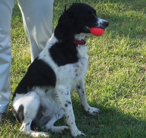 e0003270_2262281.jpg