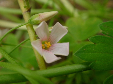 a0079880_0281276.jpg