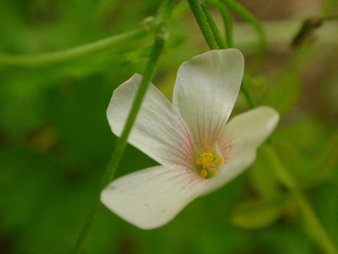 a0079880_0285598.jpg