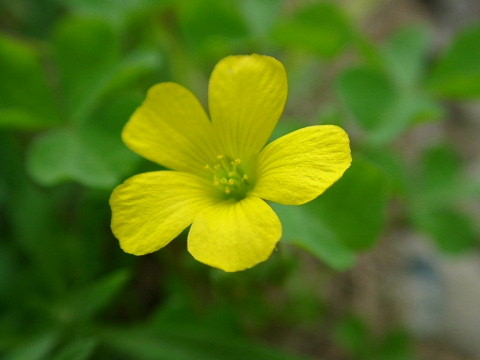 a0079880_031153.jpg