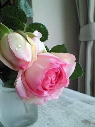 e0043686_1121581.jpg