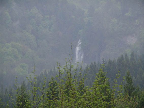 f0018388_2323061.jpg