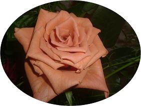 c0015589_20335026.jpg