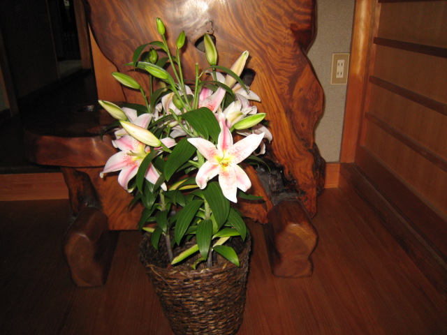 a0042295_23265586.jpg