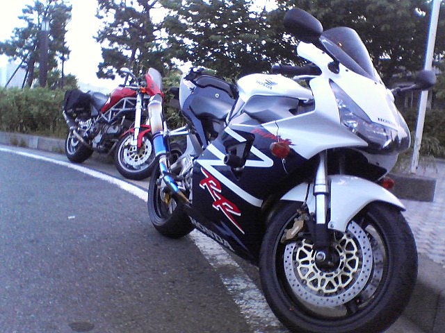 d0010496_1033748.jpg