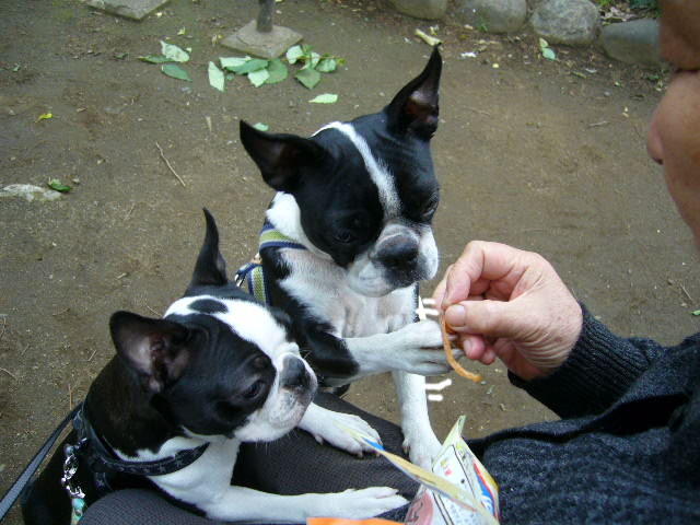 d0070702_8133679.jpg