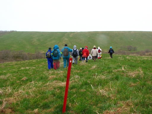 f0020302_21222251.jpg