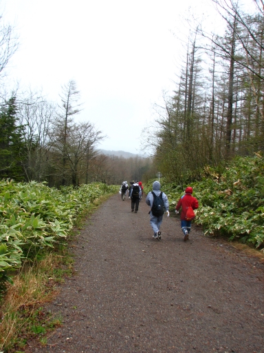 f0020302_21324789.jpg