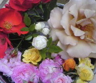f0052603_17264244.jpg