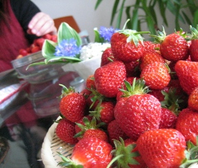 d0003606_10391150.jpg