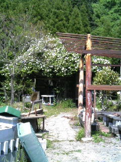 f0092906_21261478.jpg