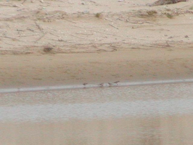 d0037110_21283273.jpg