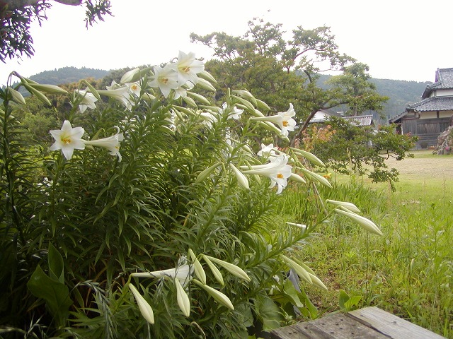 d0037110_2128492.jpg