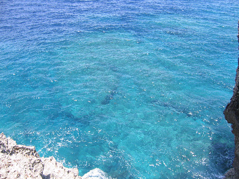 f0127610_2247636.jpg