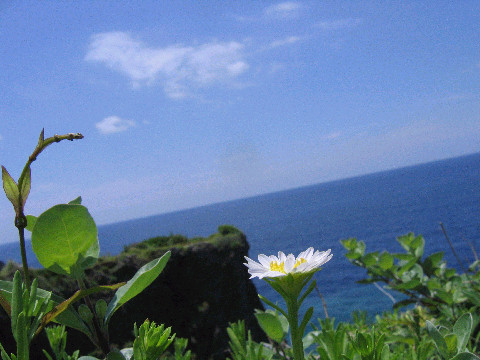 f0127610_22493696.jpg