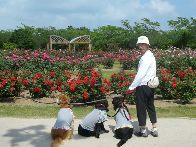 c0017311_75475.jpg