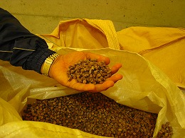 e0002820_2012538.jpg