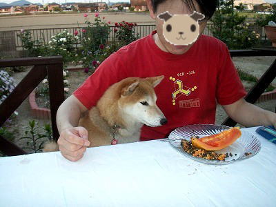 e0072023_21104822.jpg