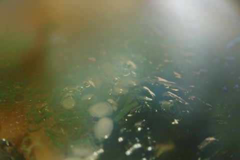 e0064128_1322949.jpg