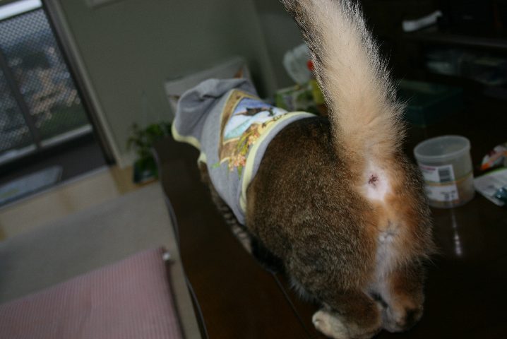 f0055228_14424843.jpg