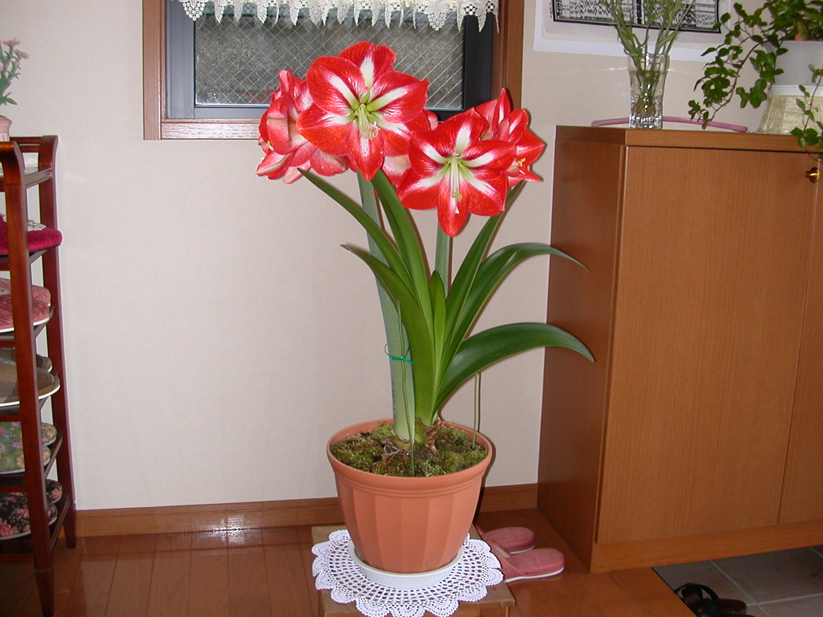 e0033229_21573428.jpg