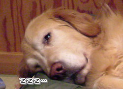 f0054731_22451539.jpg