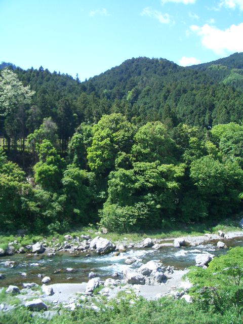 c0078032_20283573.jpg