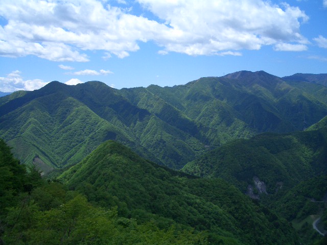 c0078032_20332895.jpg