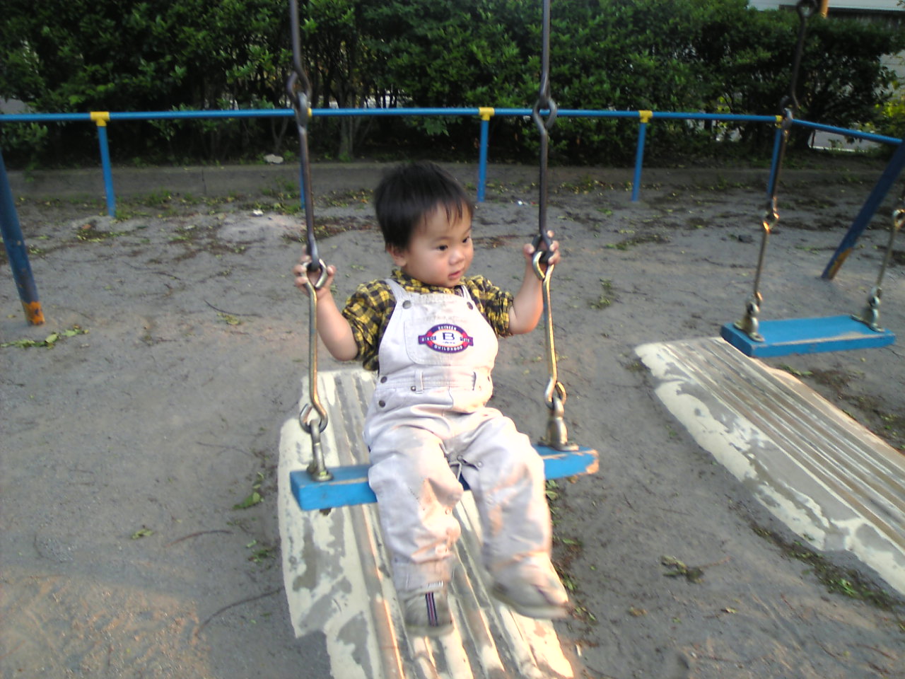 b0053433_2565779.jpg
