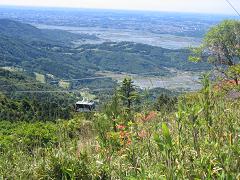 b0024439_19151376.jpg