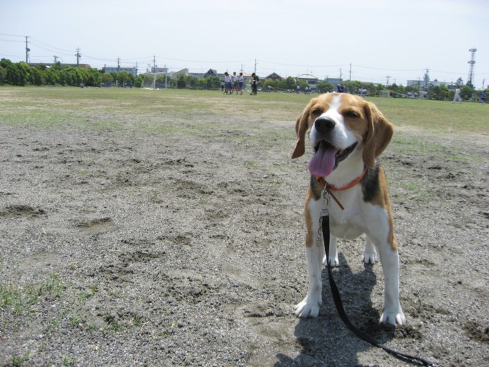 c0119142_026763.jpg