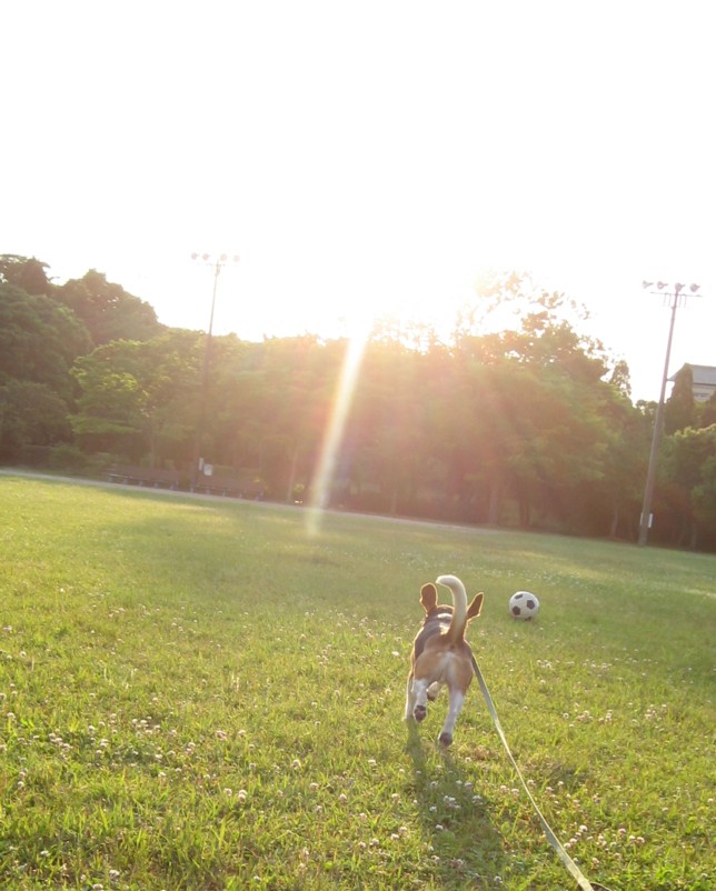 c0119142_0373268.jpg