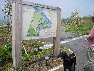 f0107145_15275298.jpg