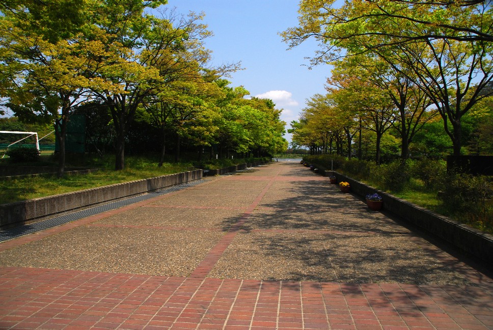 e0009147_16272968.jpg