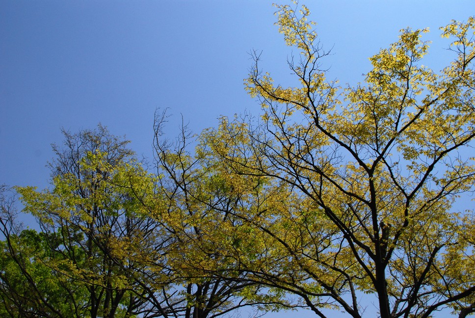 e0009147_16275395.jpg