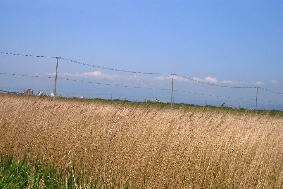e0009147_16311130.jpg