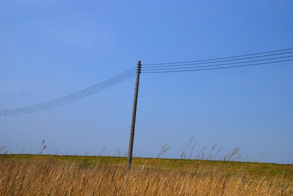 e0009147_16313147.jpg